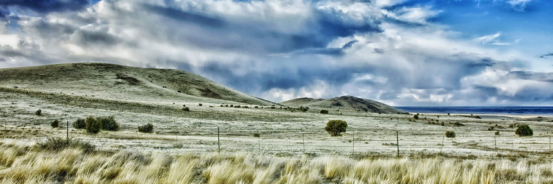 Cremation Services of East Alabama